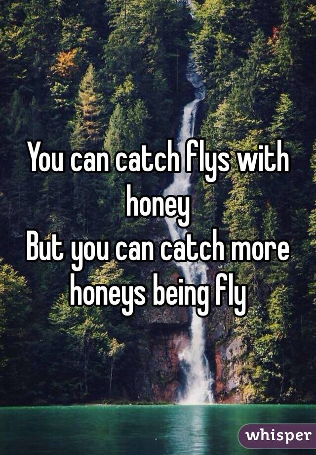 You can catch flys with honey
But you can catch more honeys being fly
