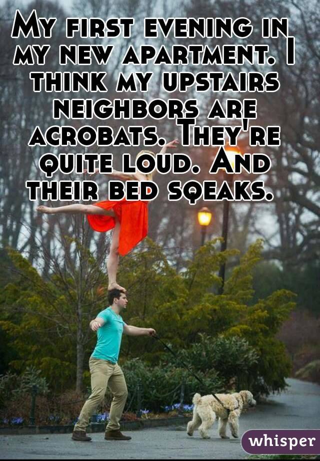 My first evening in my new apartment. I think my upstairs neighbors are acrobats. They're quite loud. And their bed sqeaks. 