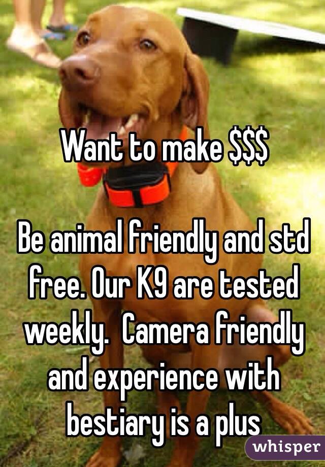 Want to make $$$

Be animal friendly and std free. Our K9 are tested weekly.  Camera friendly and experience with bestiary is a plus