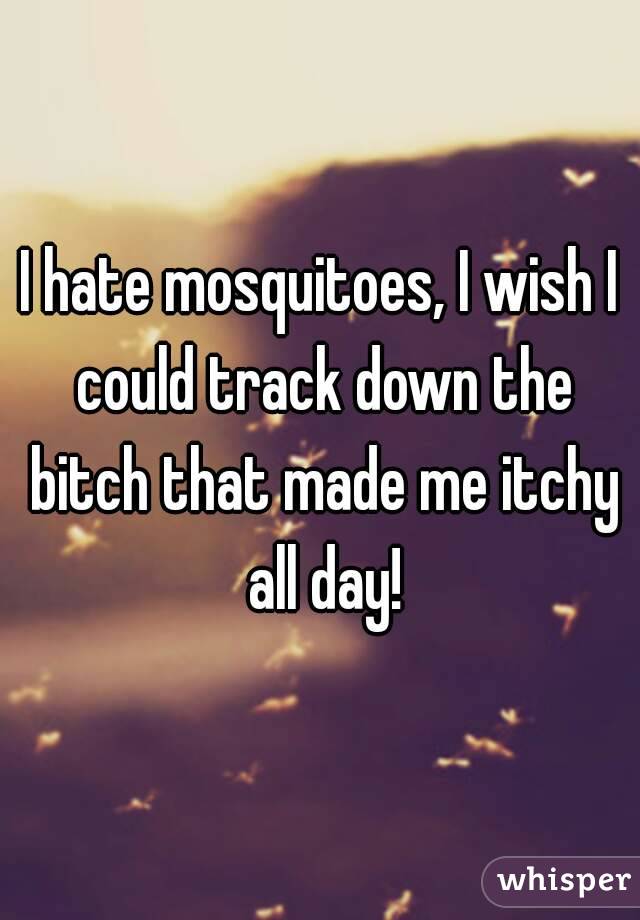 I hate mosquitoes, I wish I could track down the bitch that made me itchy all day!