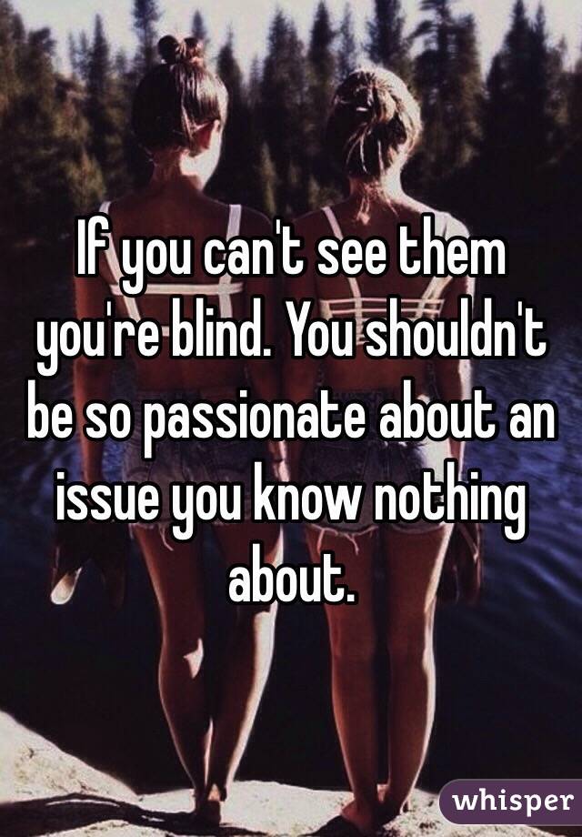 If you can't see them you're blind. You shouldn't be so passionate about an issue you know nothing about.