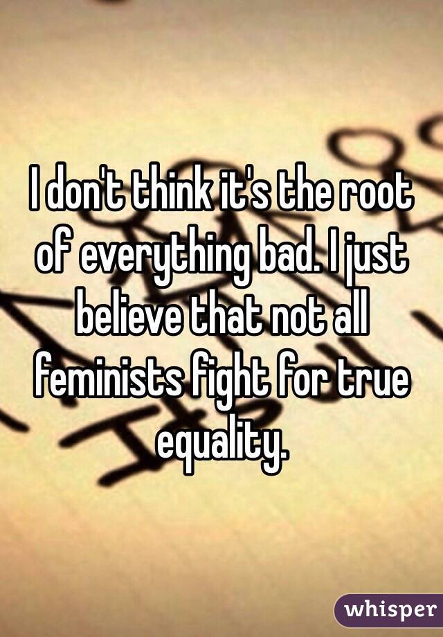 I don't think it's the root of everything bad. I just believe that not all feminists fight for true equality.