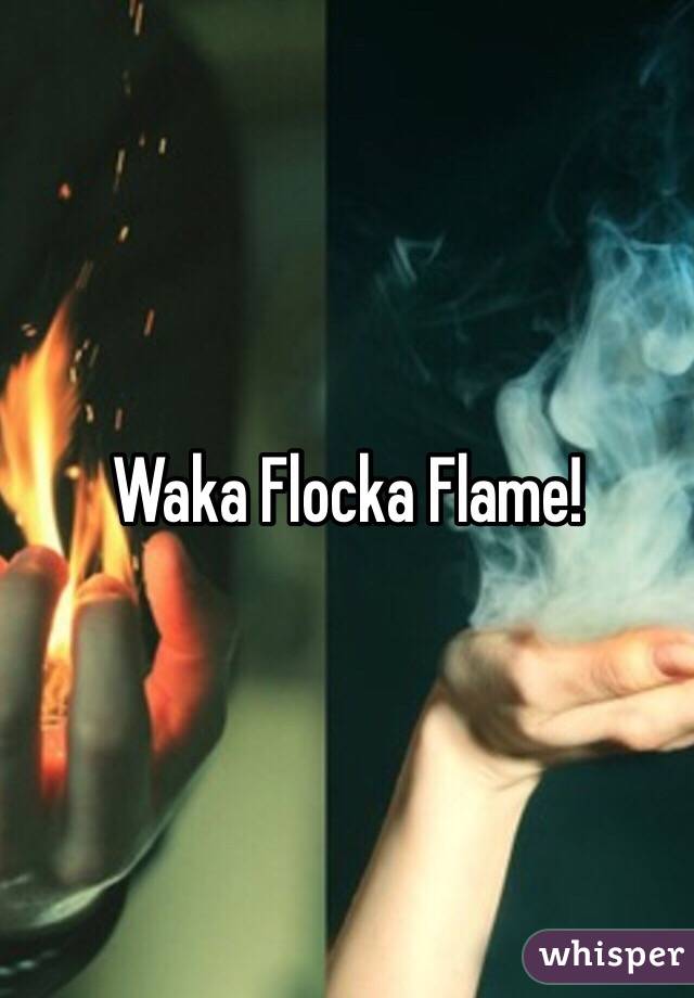 Waka Flocka Flame!