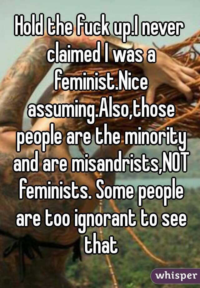 Hold the fuck up.I never claimed I was a feminist.Nice assuming.Also,those people are the minority and are misandrists,NOT feminists. Some people are too ignorant to see that