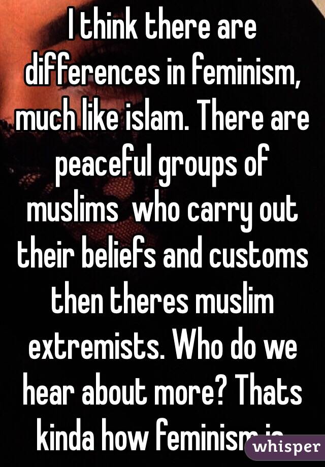 I think there are differences in feminism, much like islam. There are peaceful groups of muslims  who carry out their beliefs and customs then theres muslim extremists. Who do we hear about more? Thats kinda how feminism is. 