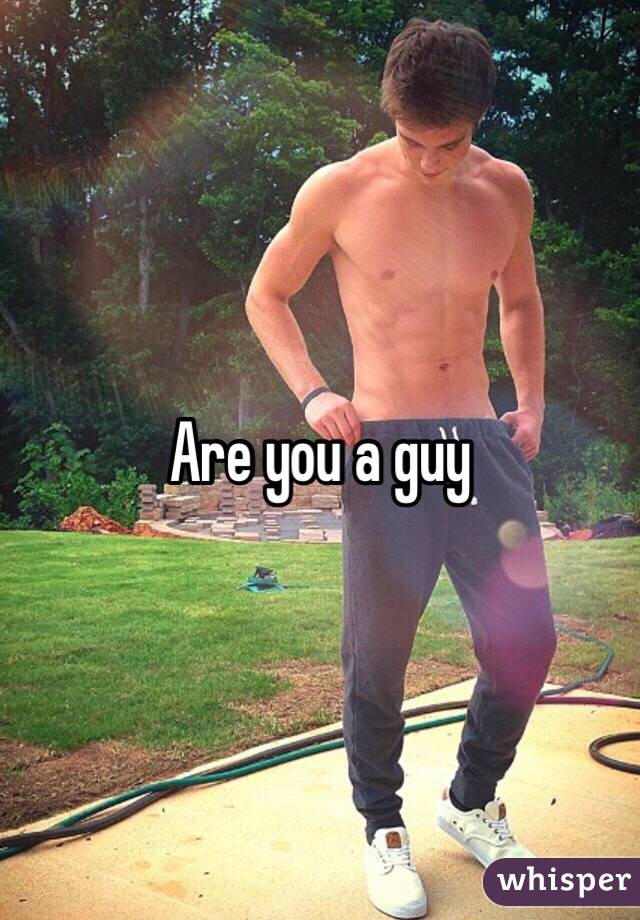 Are you a guy