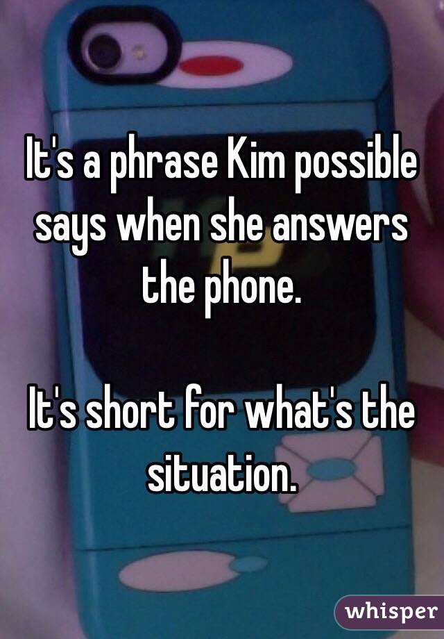 It's a phrase Kim possible says when she answers the phone.

It's short for what's the situation.