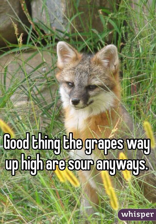 Good thing the grapes way up high are sour anyways. 