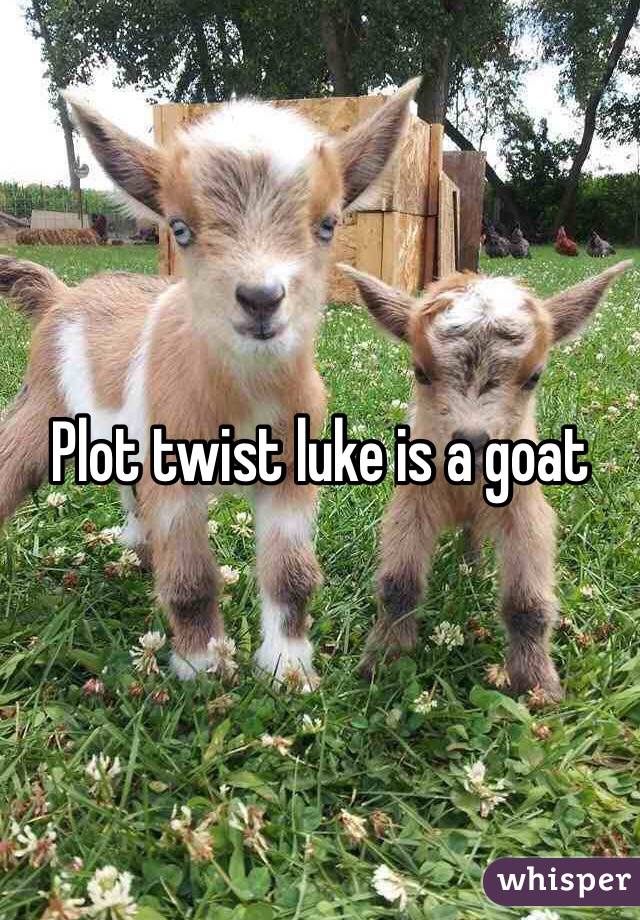 Plot twist luke is a goat