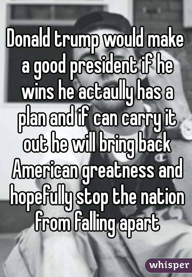 Donald trump would make a good president if he wins he actaully has a plan and if can carry it out he will bring back American greatness and hopefully stop the nation from falling apart