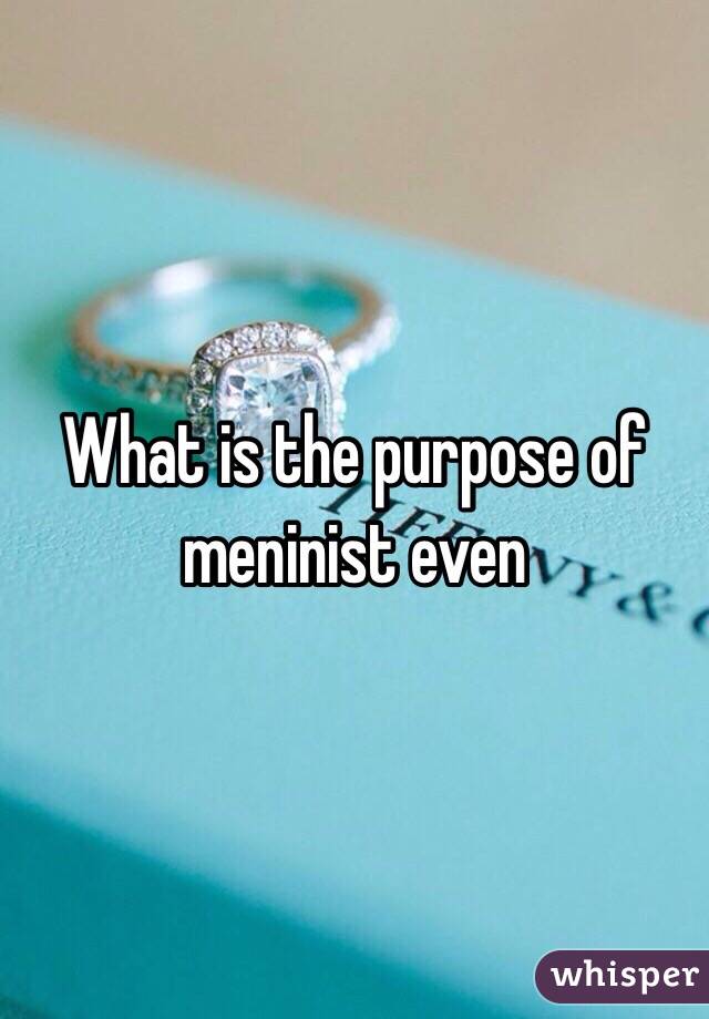 What is the purpose of meninist even 