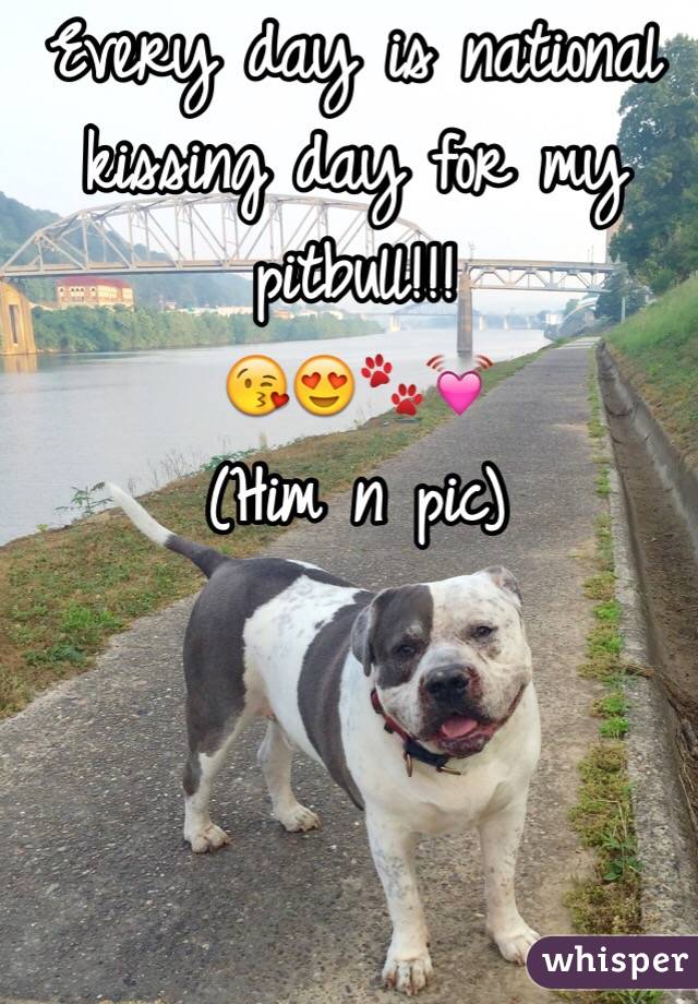Every day is national kissing day for my pitbull!!! 
😘😍🐾💓
(Him n pic)