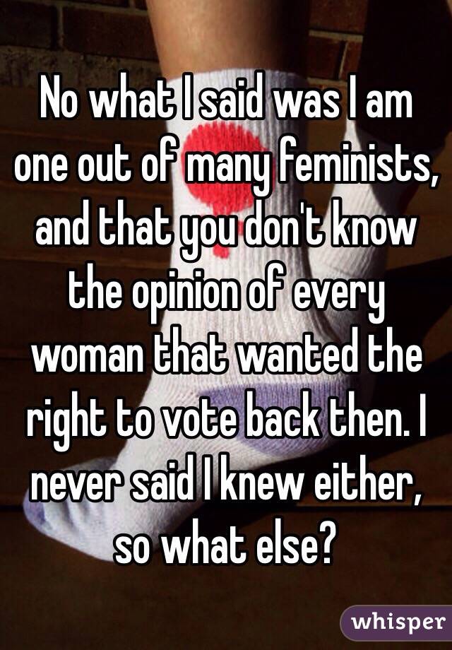 No what I said was I am one out of many feminists, and that you don't know the opinion of every woman that wanted the right to vote back then. I never said I knew either, so what else?