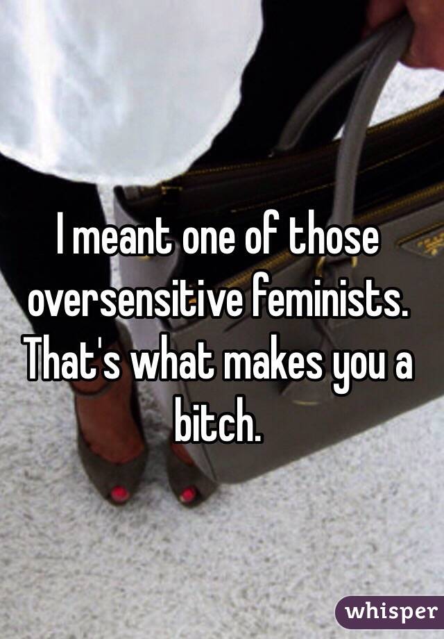 I meant one of those oversensitive feminists. That's what makes you a bitch.