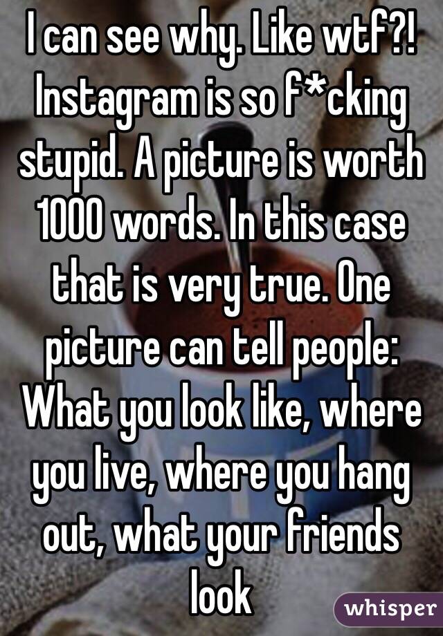 I can see why. Like wtf?! Instagram is so f*cking stupid. A picture is worth 1000 words. In this case that is very true. One picture can tell people: 
What you look like, where you live, where you hang out, what your friends look