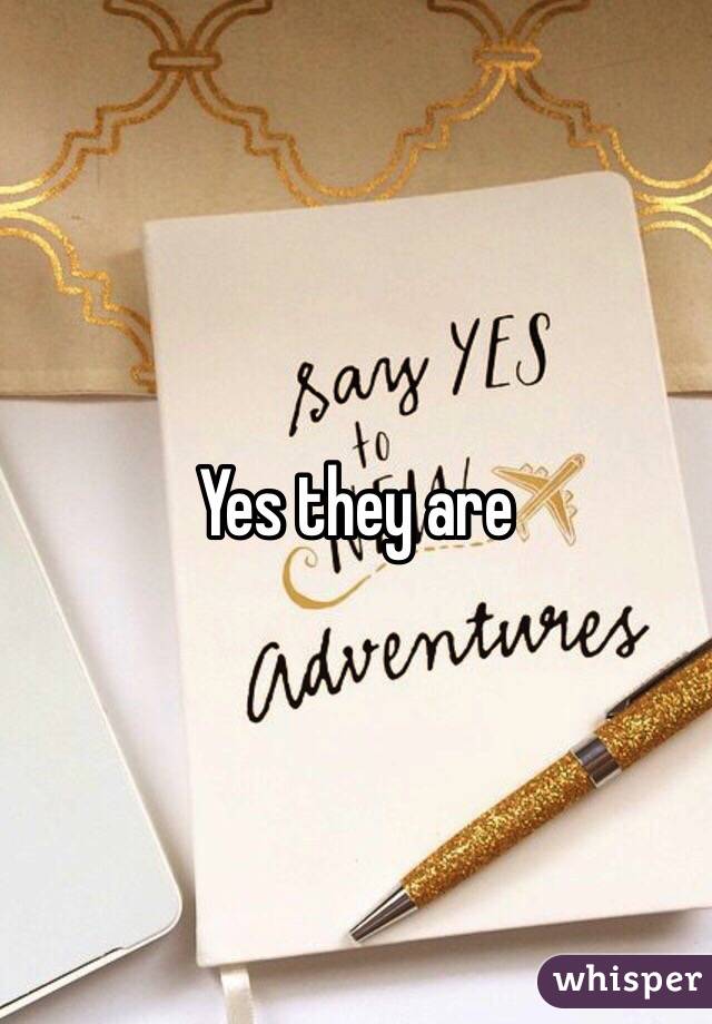 Yes they are 