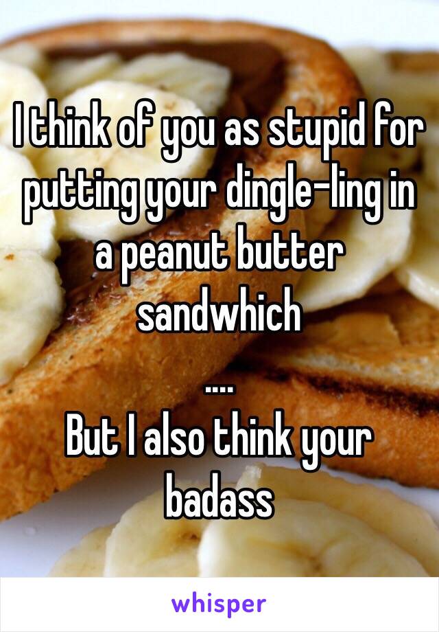 I think of you as stupid for putting your dingle-ling in a peanut butter sandwhich 
....
But I also think your badass 