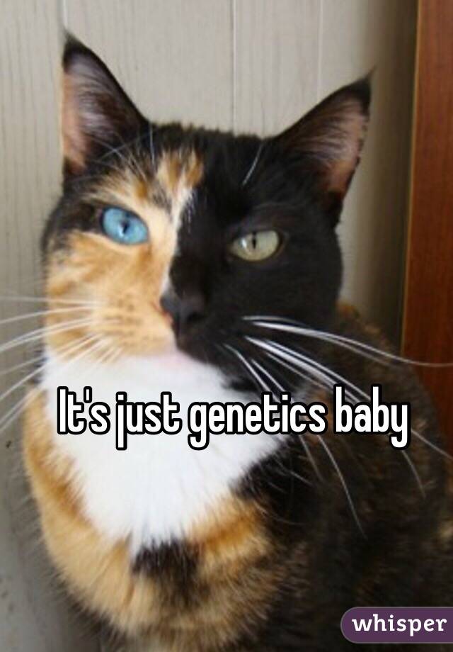 It's just genetics baby