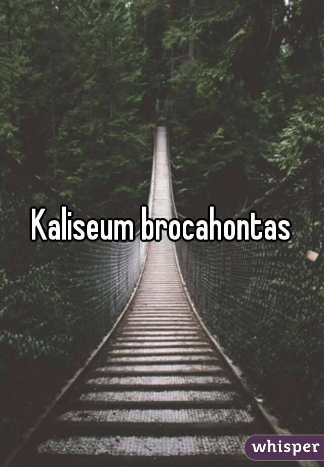 Kaliseum brocahontas