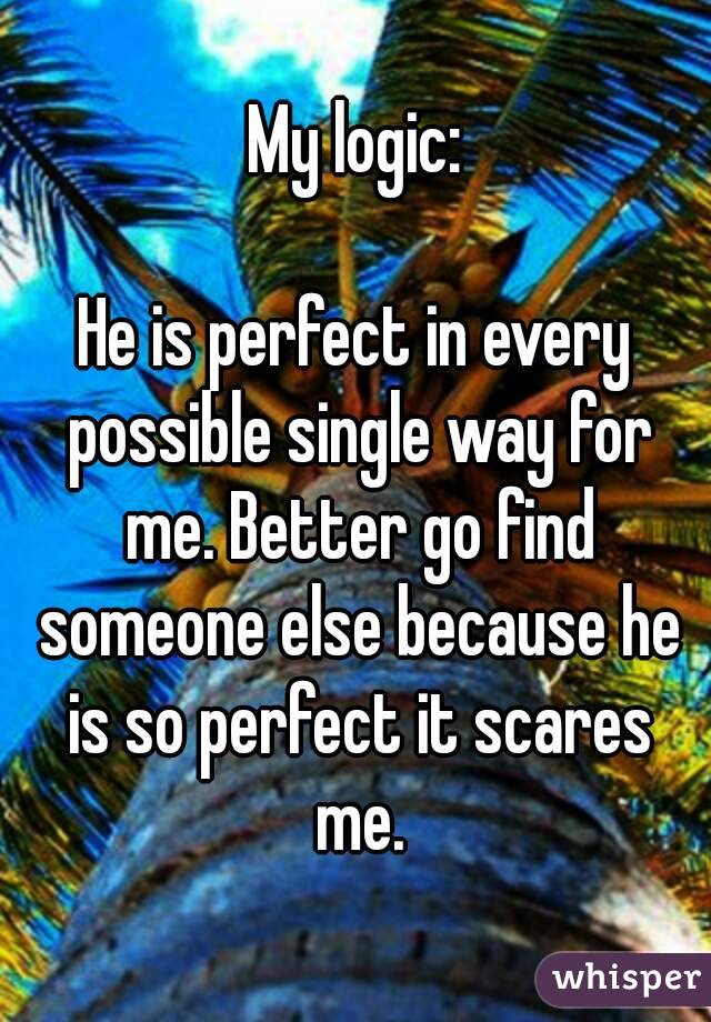 My logic:

He is perfect in every possible single way for me. Better go find someone else because he is so perfect it scares me.