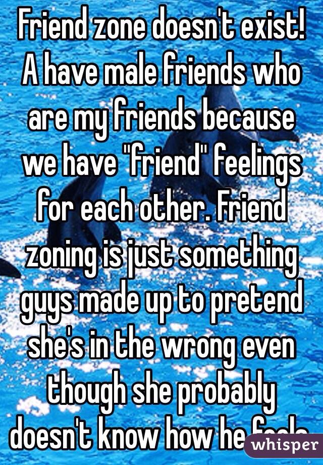 Friend zone doesn't exist! A have male friends who are my friends because we have "friend" feelings for each other. Friend zoning is just something guys made up to pretend she's in the wrong even though she probably doesn't know how he feels.