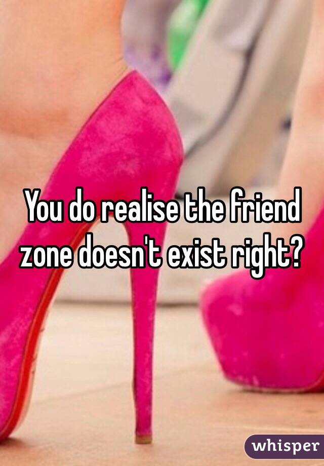 You do realise the friend zone doesn't exist right?