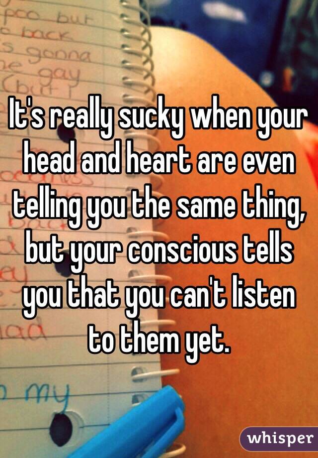 It's really sucky when your head and heart are even telling you the same thing, but your conscious tells you that you can't listen to them yet.