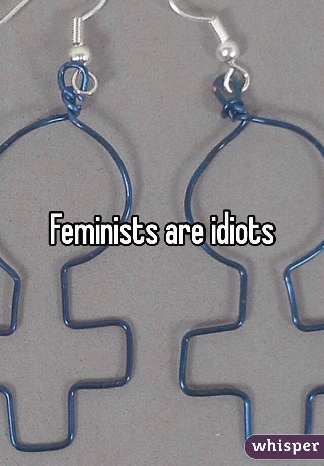 Feminists are idiots 