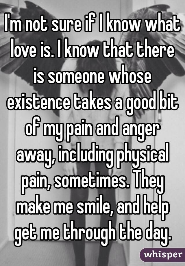 I'm not sure if I know what love is. I know that there is someone whose existence takes a good bit of my pain and anger away, including physical pain, sometimes. They make me smile, and help get me through the day. 