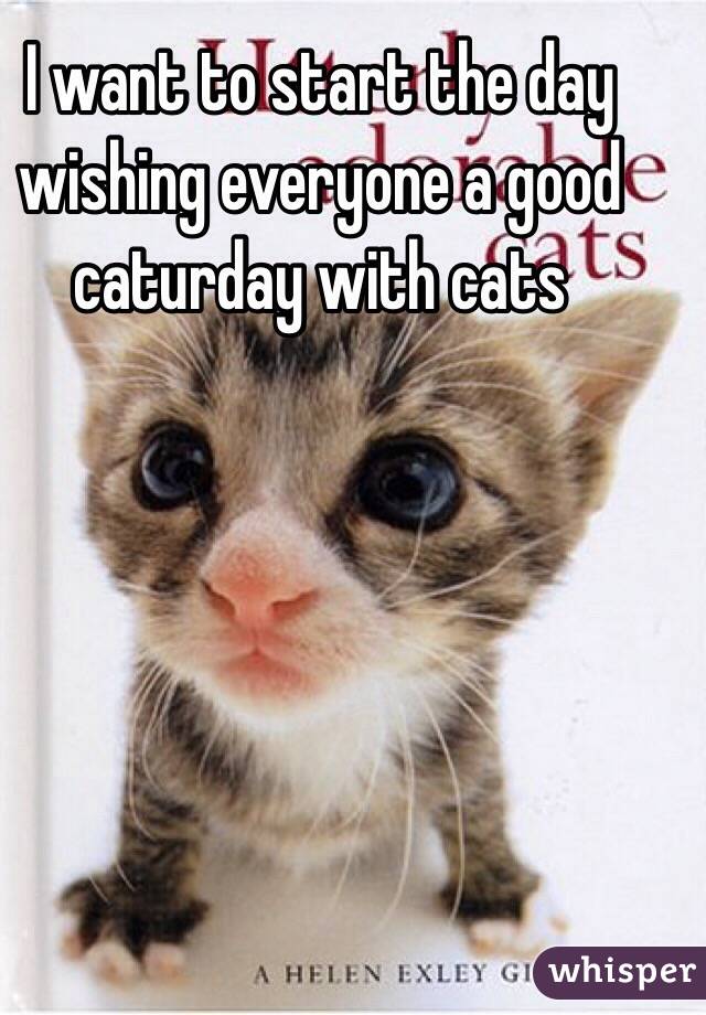 I want to start the day wishing everyone a good caturday with cats 
