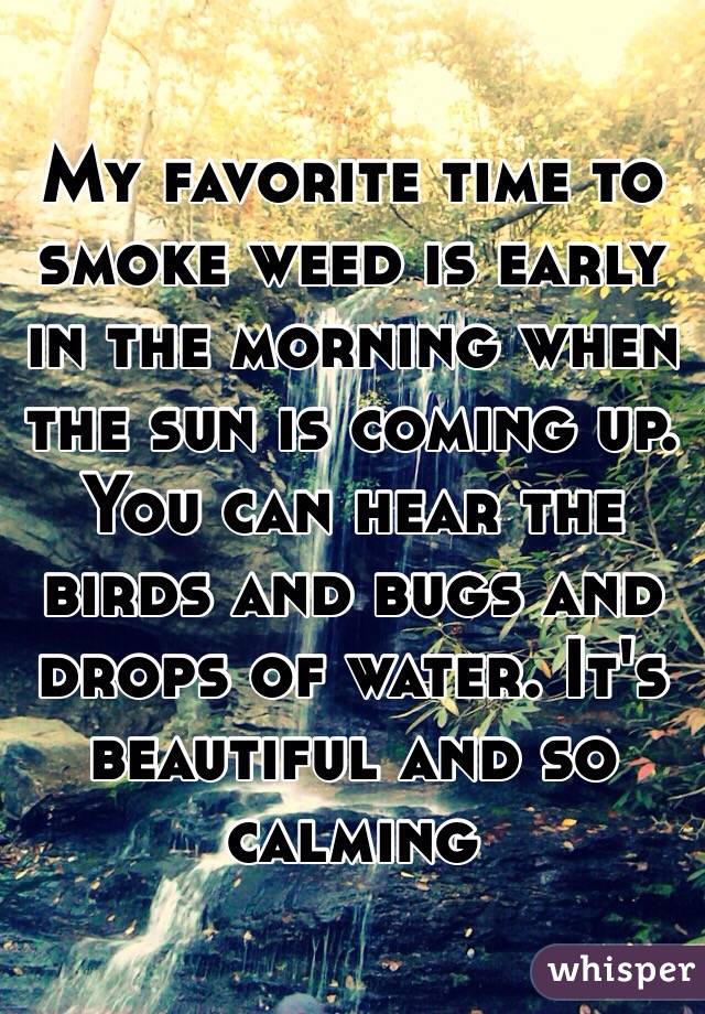 My favorite time to smoke weed is early in the morning when the sun is coming up. You can hear the birds and bugs and drops of water. It's beautiful and so calming 