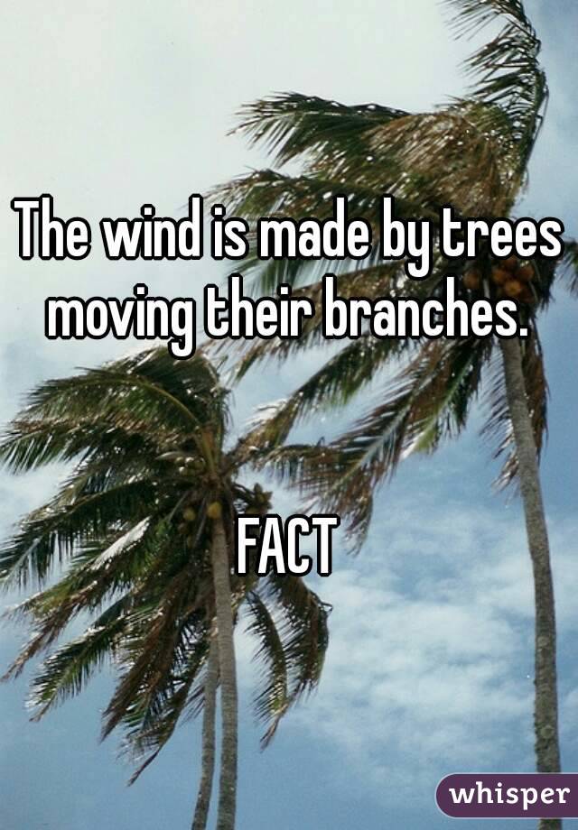 The wind is made by trees moving their branches. 


FACT