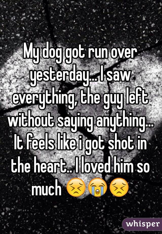 My dog got run over yesterday... I saw everything, the guy left without saying anything... It feels like i got shot in the heart.. I loved him so much 😣😭😣