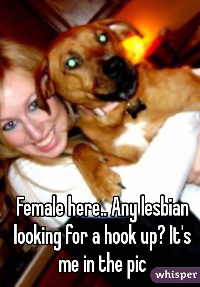 Female here.. Any lesbian looking for a hook up? It's me in the pic 