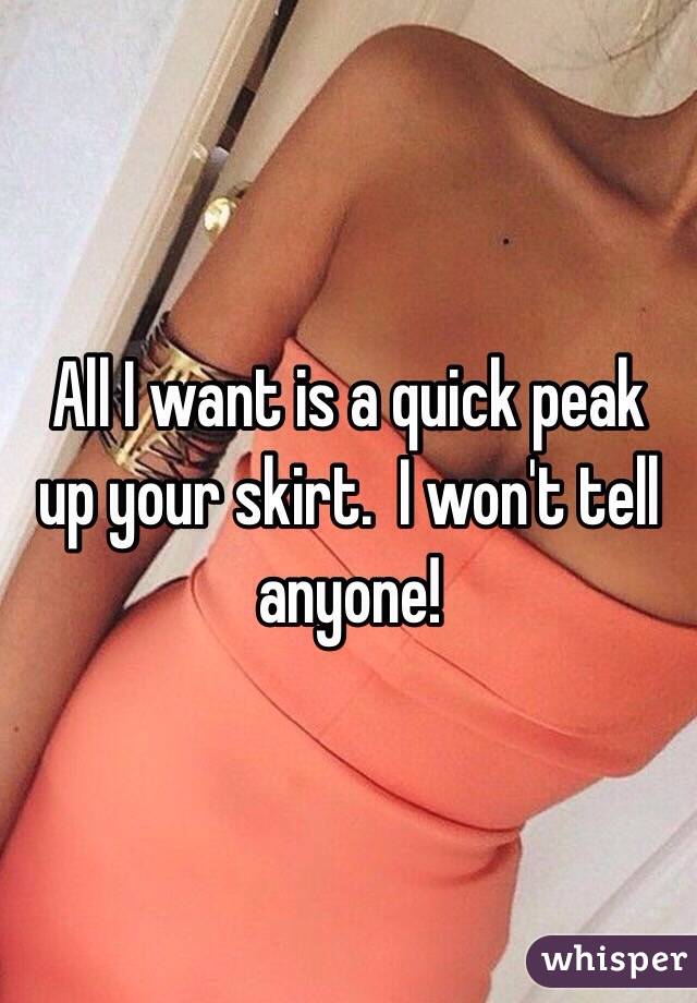 All I want is a quick peak up your skirt.  I won't tell anyone!