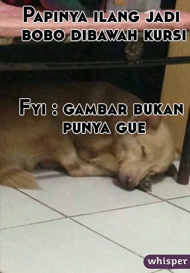 Papinya ilang jadi bobo dibawah kursi



Fyi : gambar bukan punya gue