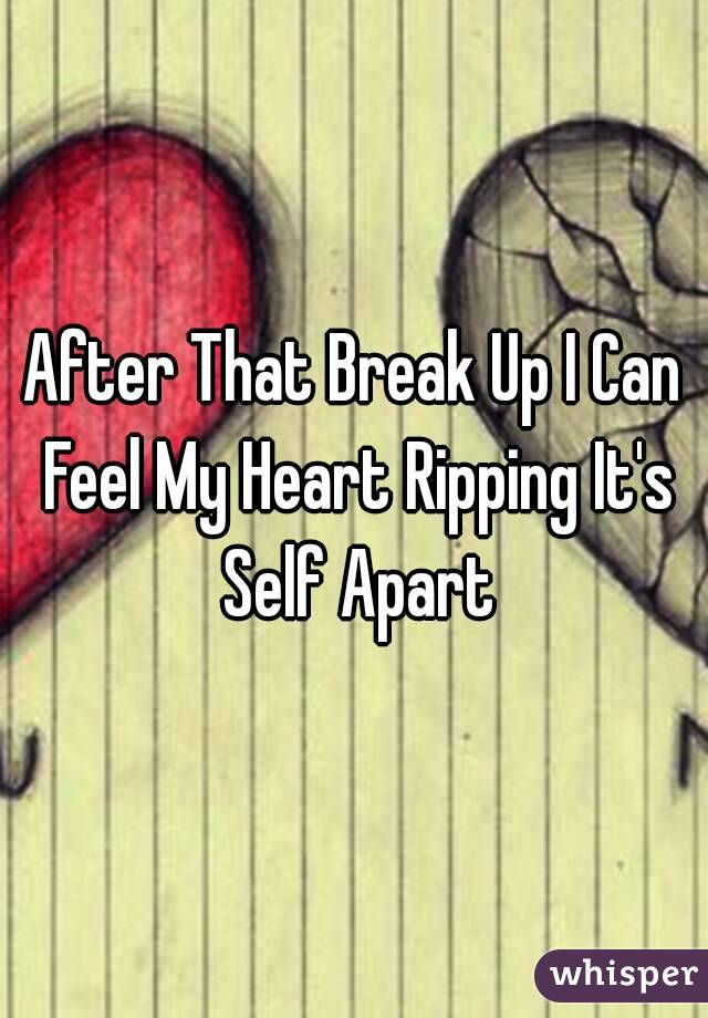 After That Break Up I Can Feel My Heart Ripping It's Self Apart