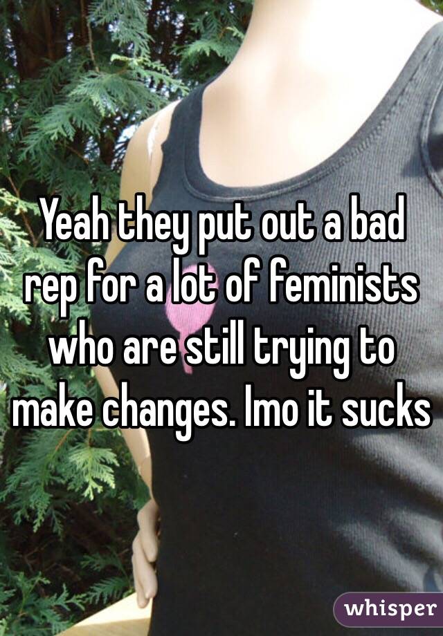 Yeah they put out a bad rep for a lot of feminists who are still trying to make changes. Imo it sucks 