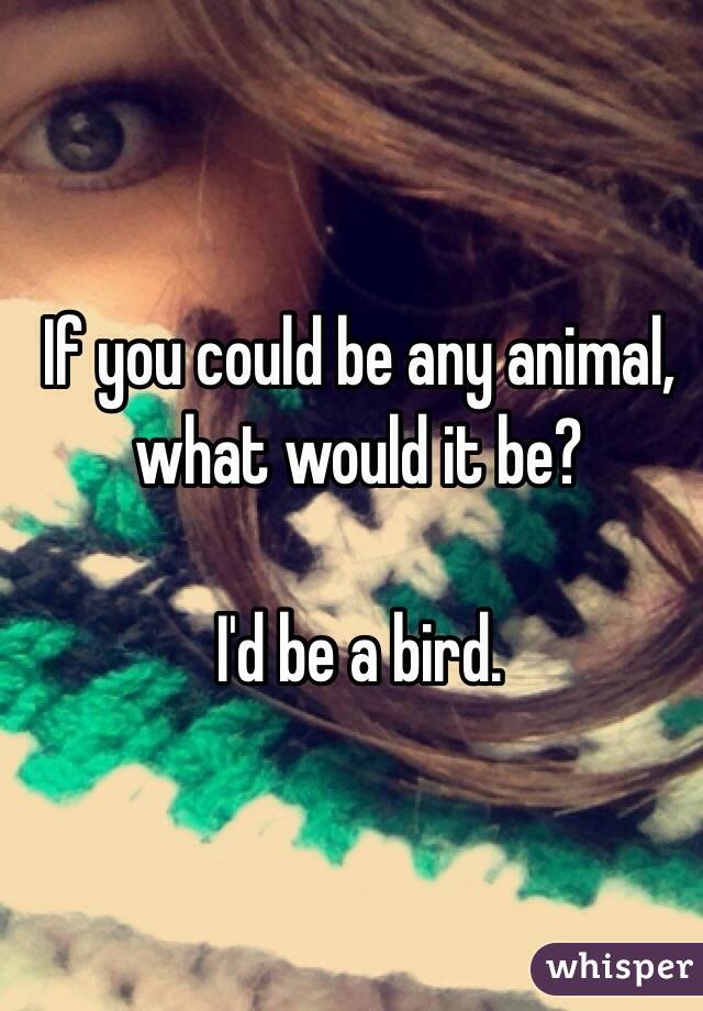 If you could be any animal, what would it be?

I'd be a bird.