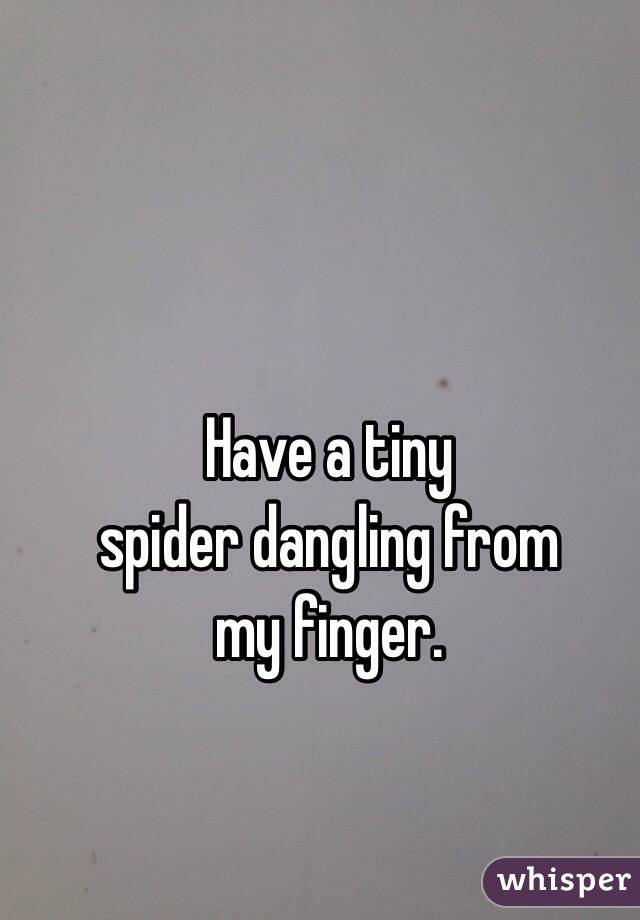 Have a tiny
spider dangling from
my finger.