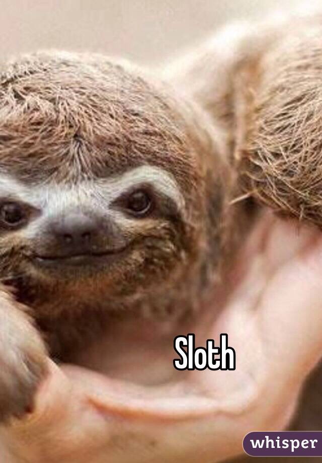 Sloth