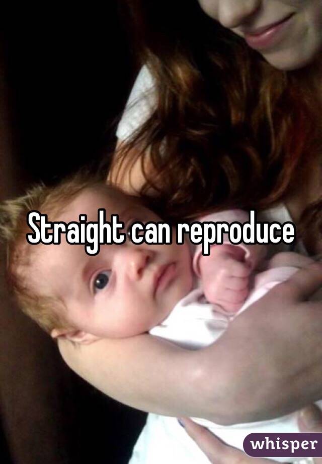 Straight can reproduce