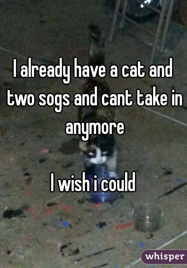 I already have a cat and two sogs and cant take in anymore

I wish i could