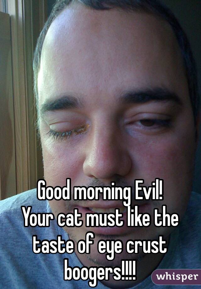 Good morning Evil!
Your cat must like the taste of eye crust boogers!!!!