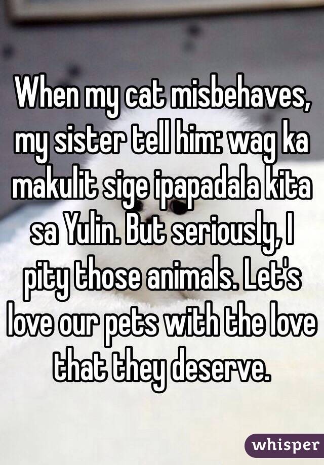 When my cat misbehaves, my sister tell him: wag ka makulit sige ipapadala kita sa Yulin. But seriously, I pity those animals. Let's love our pets with the love that they deserve.