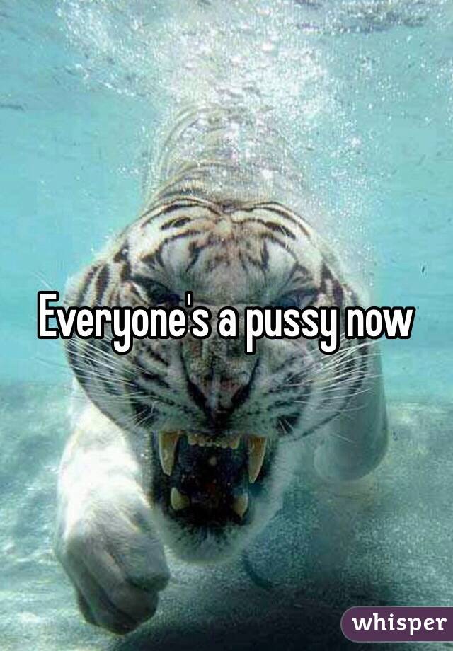 Everyone's a pussy now