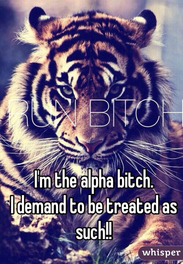 I'm the alpha bitch. 
I demand to be treated as such!! 