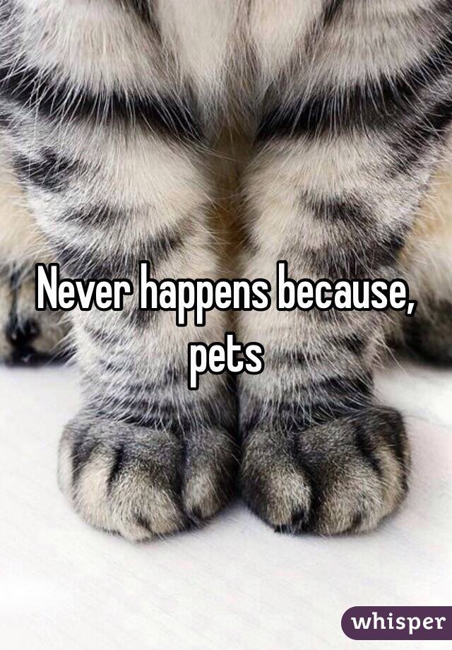 Never happens because, pets