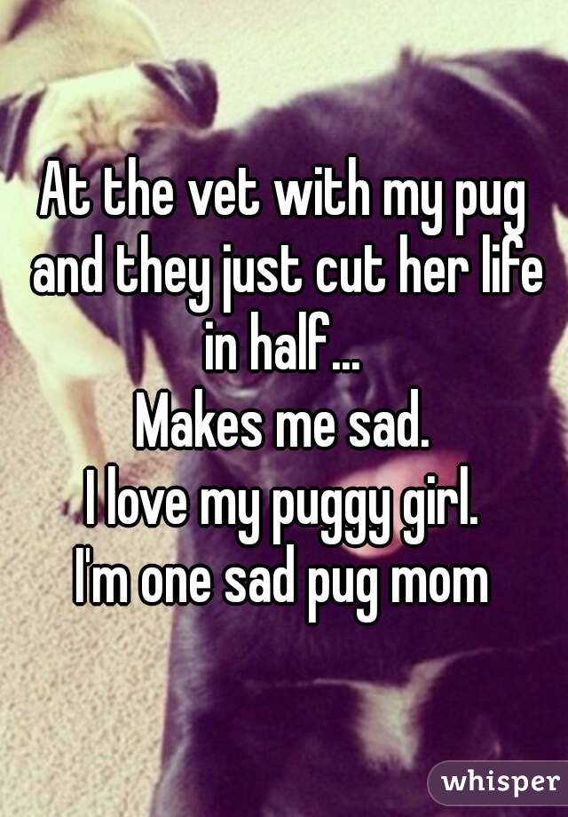 At the vet with my pug and they just cut her life in half... 
Makes me sad.
I love my puggy girl.
I'm one sad pug mom