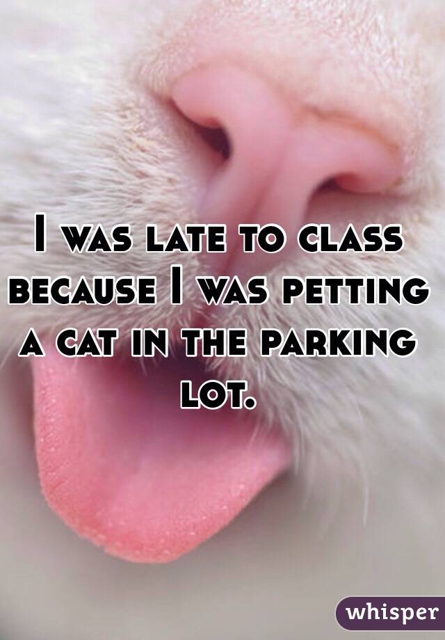 I was late to class because I was petting a cat in the parking lot. 